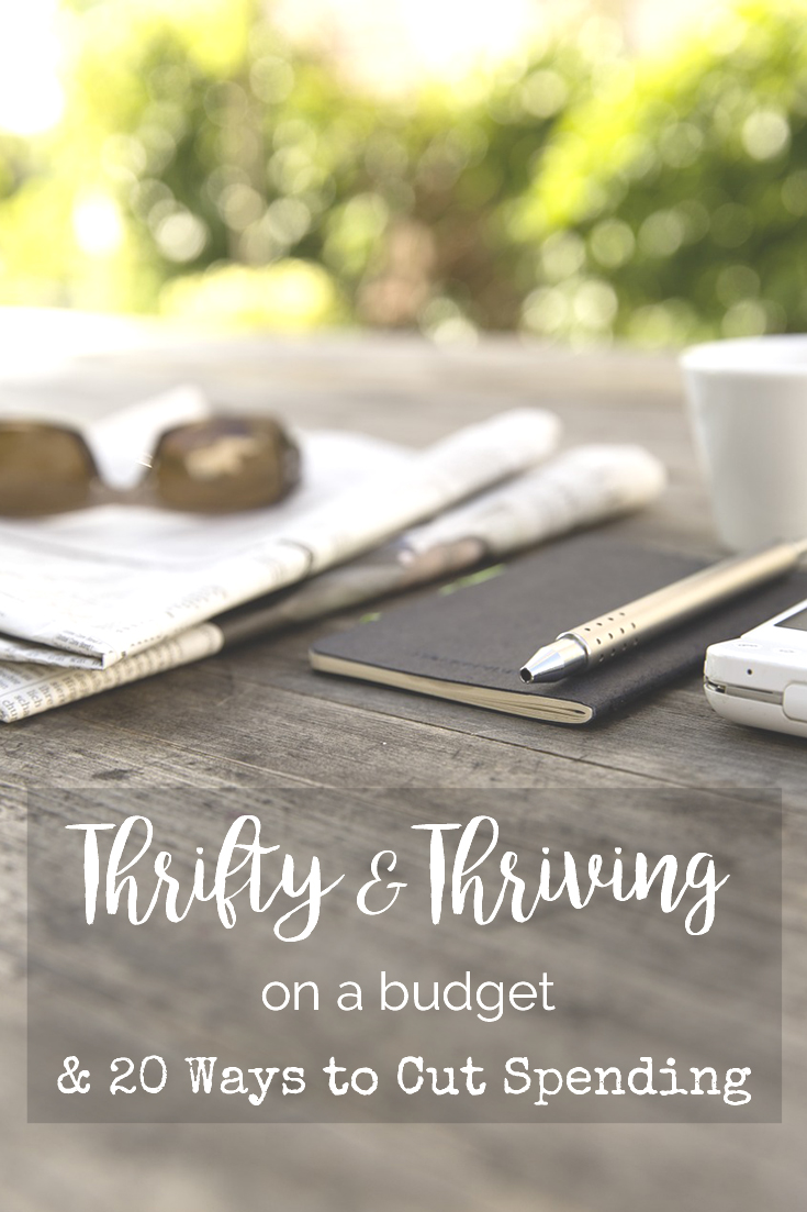 Thrifty & Thriving on a Budget & 20 Tips to Cut Spending