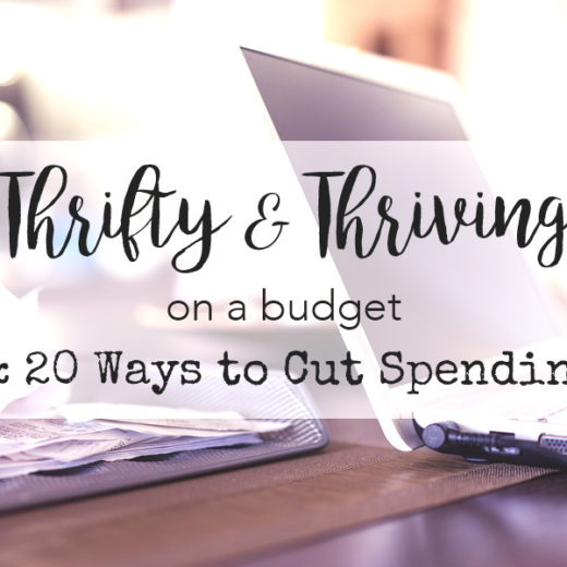 Thrifty Thriving on a Budget