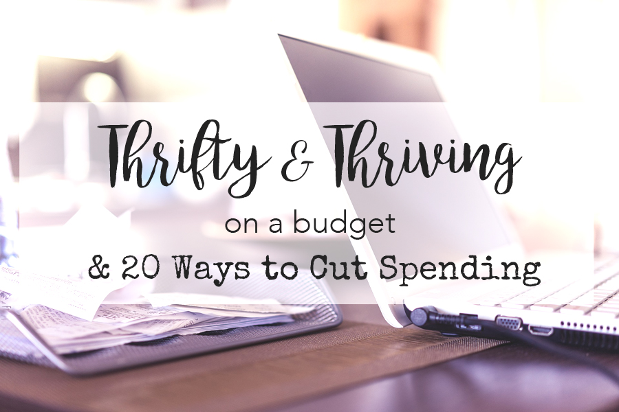 Thrifty Thriving on a Budget