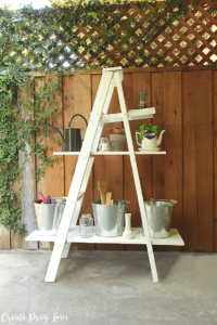 DIY Ladder Turned Outdoor Shelving Unit