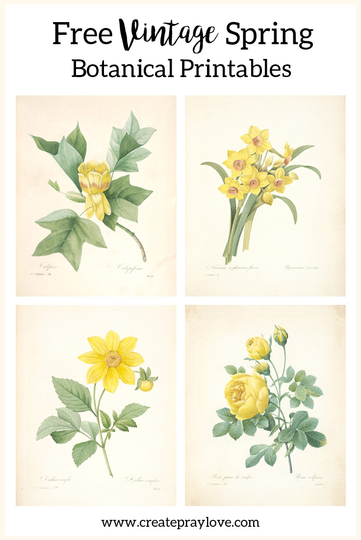 Free Vintage Spring Botanical Printables